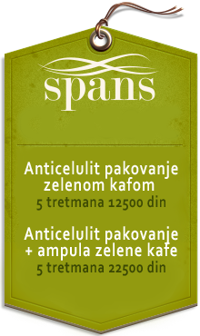 poklon vaucer SPA CENTAR Novi Sad